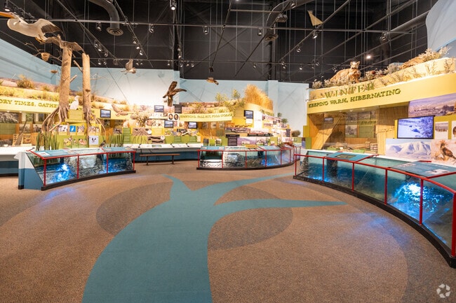 Explore nature and wildlife exhibits at the REACH Museum near Metaline.