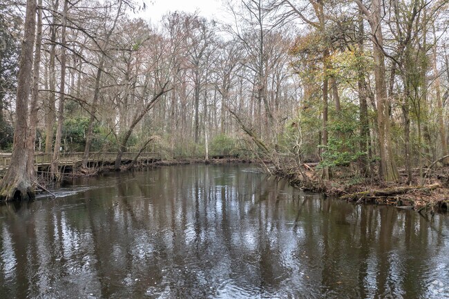 As the longest free-flowing blackwater river in the nation, the tea-stained Edisto River is an intimate attraction that may serve as the single most inviting canoe run in South Carolina.