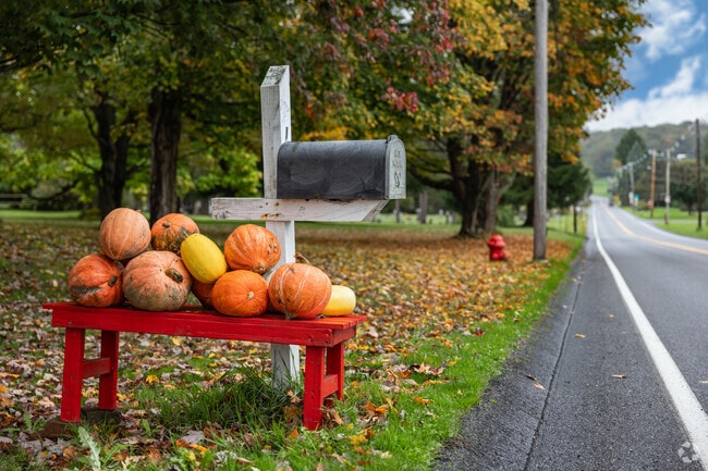 Conemaugh Township is both peaceful and serene.