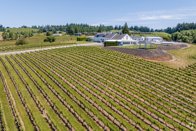 Oswego Winery and Vineyards in Stafford features sprawling vineyards.