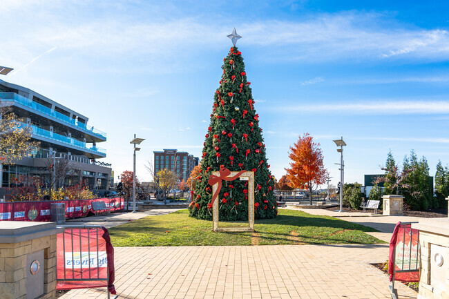During the holidays, Owensboro puts up elaborate decorations and displays.