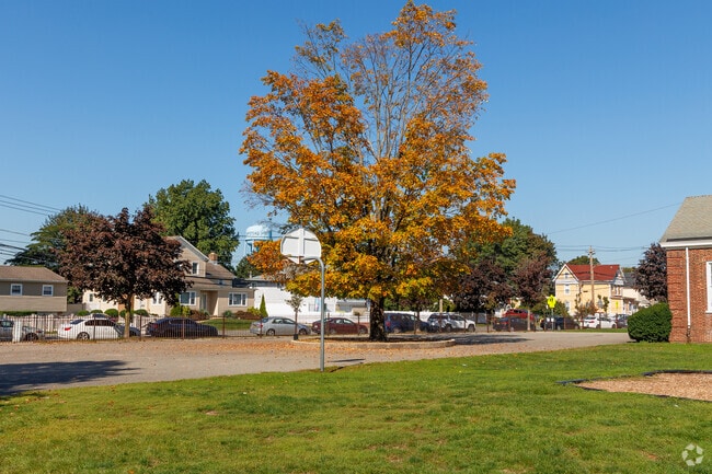 Greeneries surround Jackson Main Elementary.