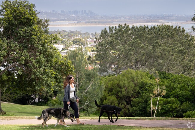 The view from Kate Sessions Park is a great place in Soledad South to walk your dog.