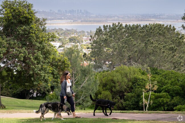 The view from Kate Sessions Park is a great place in Soledad South to walk your dog.