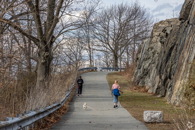 Enjoy a walk along the trails of Waitts Mount Park in Waitts Mount.