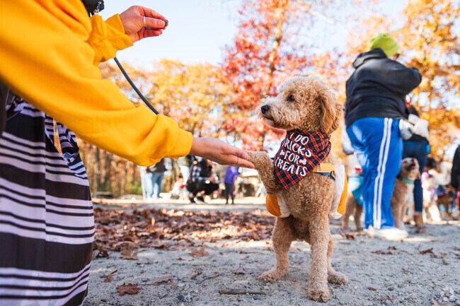 Halloween Pup Parade in Mendon.