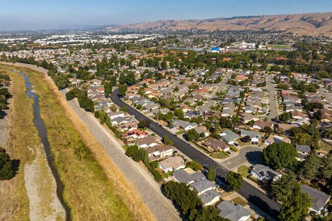 Alameda Creek Trail in Union City lets you run or pedal your bike along the trees and streams.