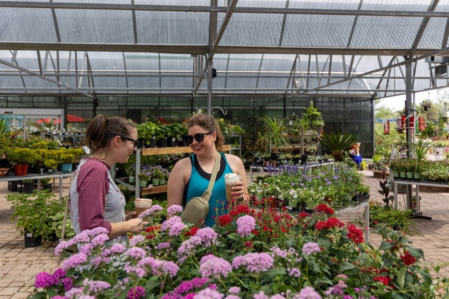 Civano Nursery has been open for 25 years, and offers plants, play areas, and goat viewing.