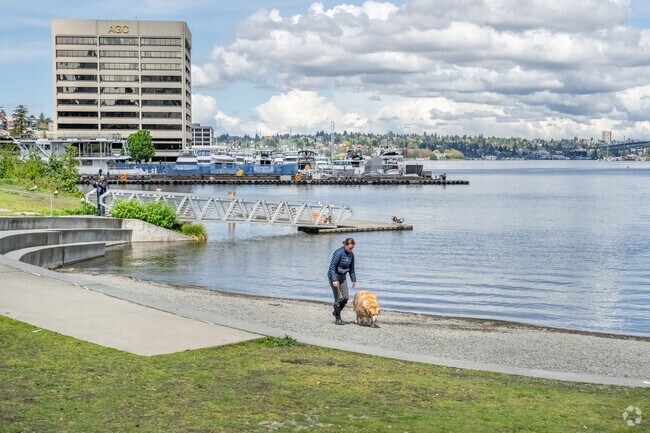 Dog lovers will have a blast at Goose Beach in Westlake, right at South Lake Union Park.
