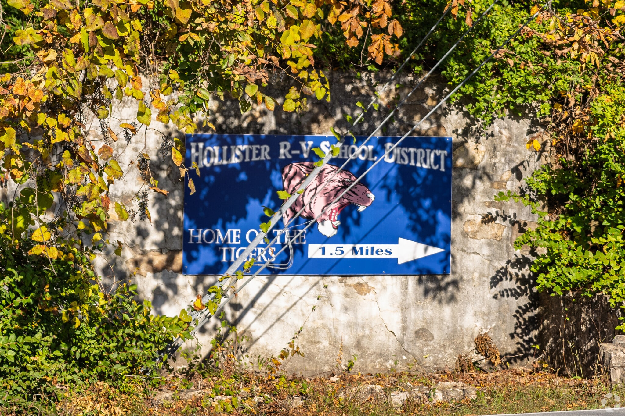 Hollister R-V School District is rated A minus on Niche, and is the second best in Taney County.