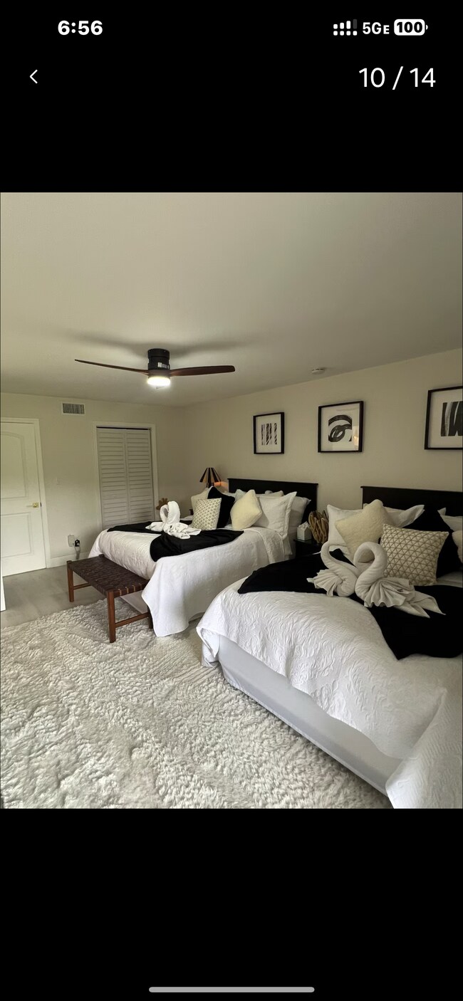 29300 Bay Hollow Dr unit 3161, Wesley Chapel, FL 33543 - photo 5