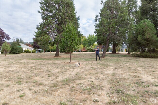 Enjoy running your pets at Laurelwood Park grassy area.