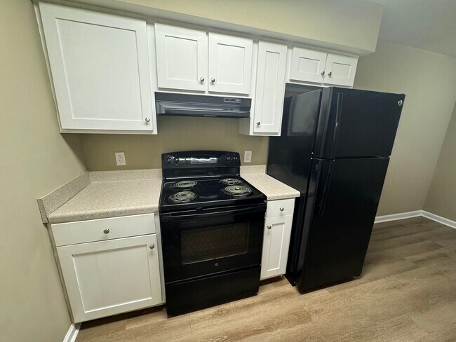 The Village at Baldwin Court, Cornelia, GA 30531 - photo 6