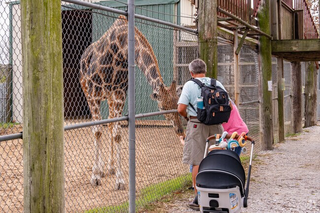 Historic Downtown Tupelo is 10 minutes from Tupelo Buffalo Park & Zoo.