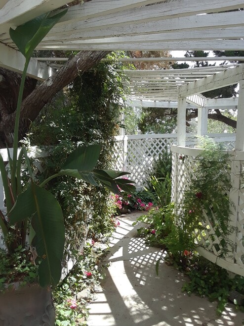 Winding Arbors