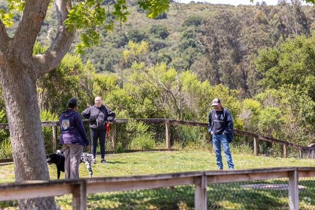 Dog parents converse at dog parks in Orcutt.