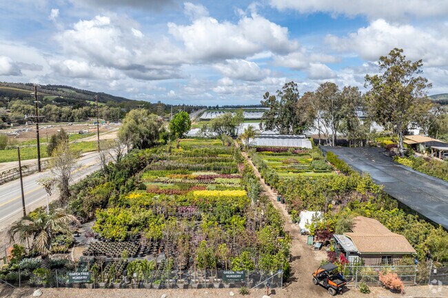 When locals in Somis want to grab new plants for their gardens they go to Green Tree Nursery.