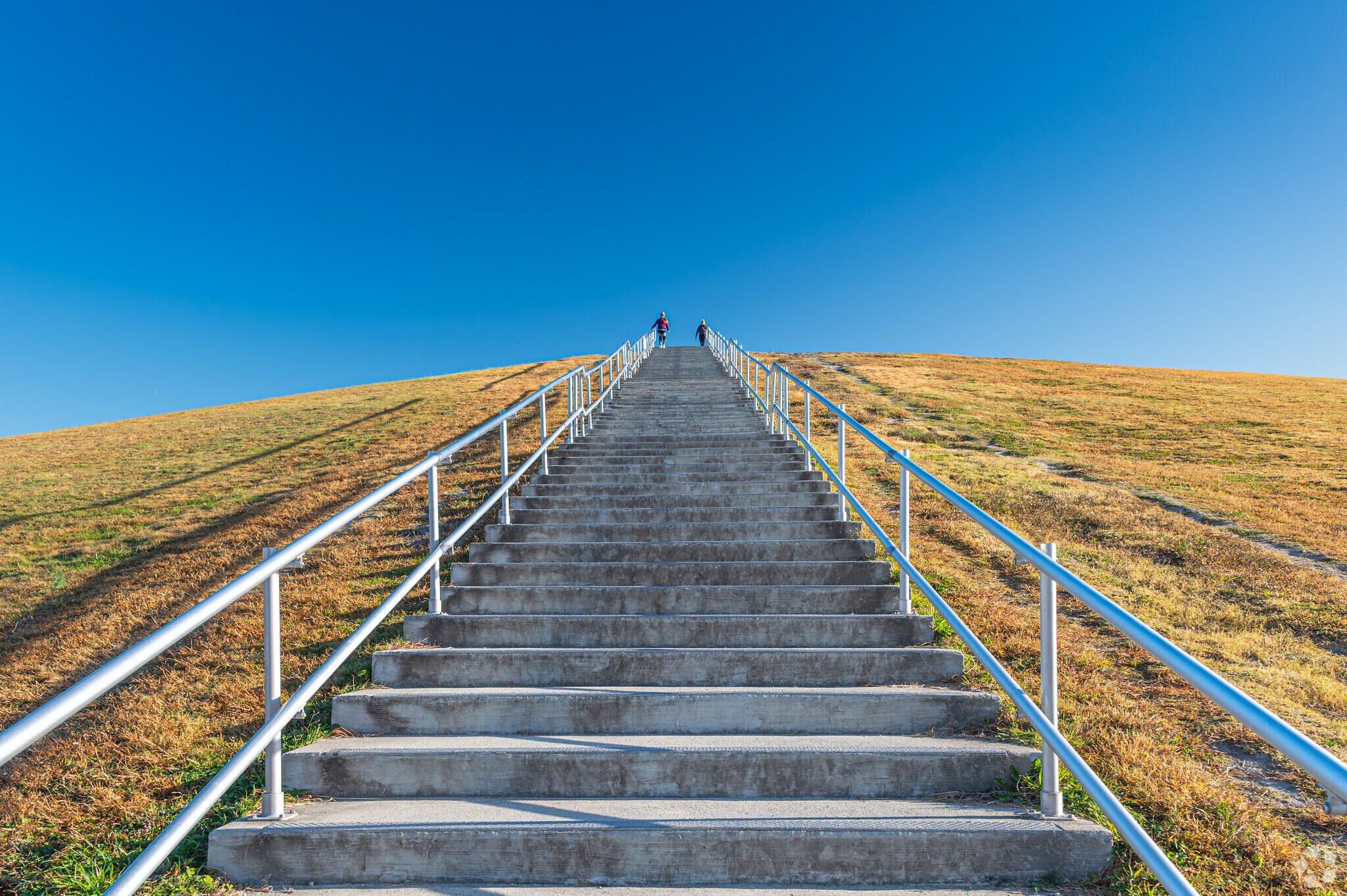 The stairs up to Mount Trashmore are worth the climb to see the view of Larkspur.