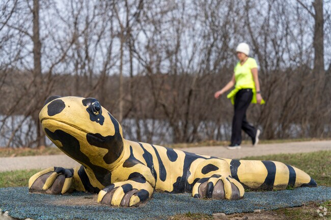 Take a walk around the two mile trail at Gallup Park.