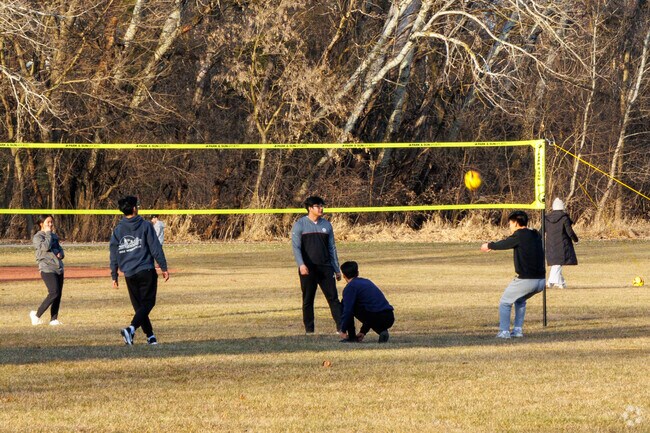 Locals of Wheaton are playing volleyball at a local park.