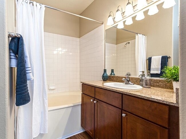 Caspian/Aegan Master Bathroom Premier