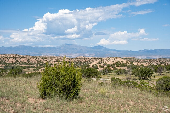 Cuyamungué features rolling hills and desert willows.