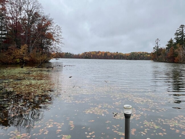 2477 28 1 2 St, Rice Lake, WI 54868 - photo 4