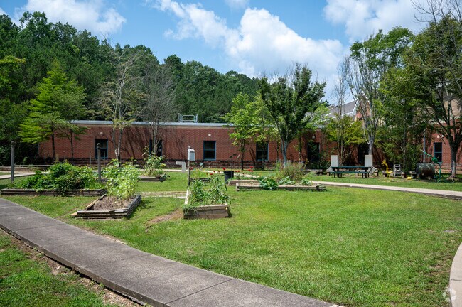 Learning about the outdoors at South Shades Crest Elementary with outdoor gardening.