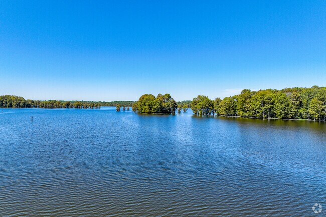 Mooringsport-Brian borders beatiful Caddo Lake.