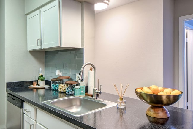 Saddle Ridge Apartments, Ashburn, VA 20147 - photo 6