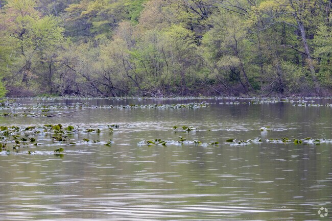 The Watchung Reservation borders Scotch Plains.