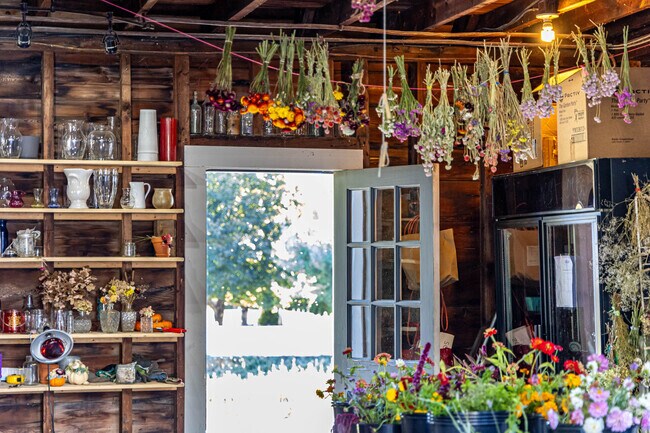 Countryside offers many nearby hidden gems with beautiful sceneries.