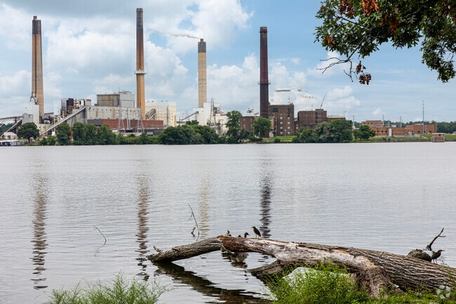 Nature thrives against the industrial backdrop of Tom Madonia Park.
