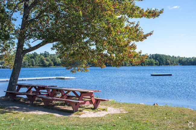 Enjoy lunch on the picnic tables at Prince Thomas Park.