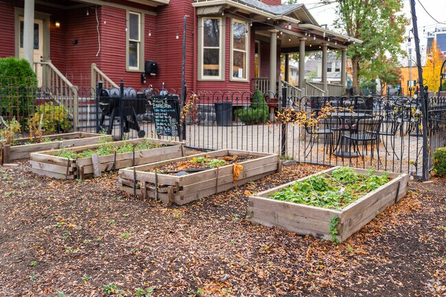Some residents like to grow their own gardens in the Brownes Addition neighborhood.