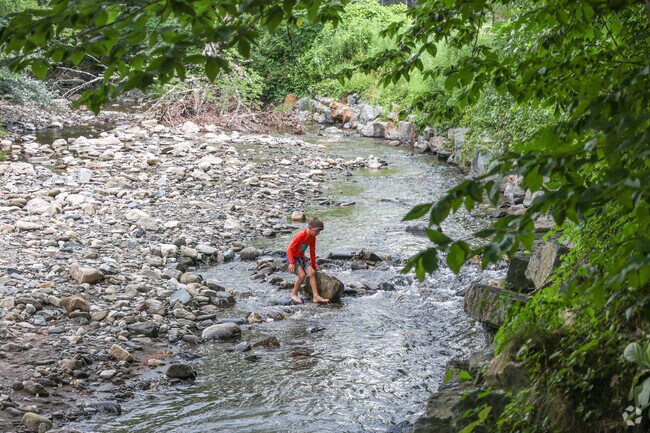 There is a small trail that leads to the perfect place to cool down in the summer at Huntley Meadows.