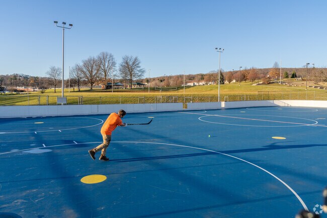 Bring the stick and play street hockey at the rink at Springettsburg Township Park.