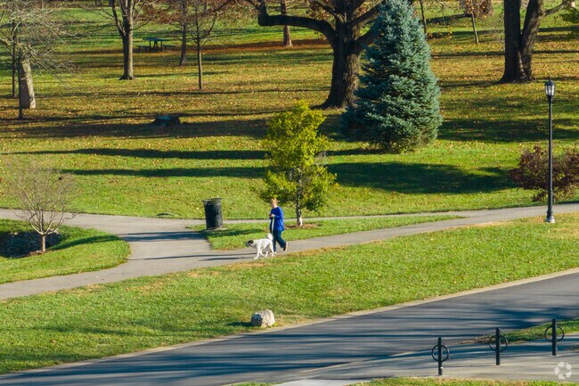 The Oval park is the perfect spot to walk the dog on a sunny afternoon.