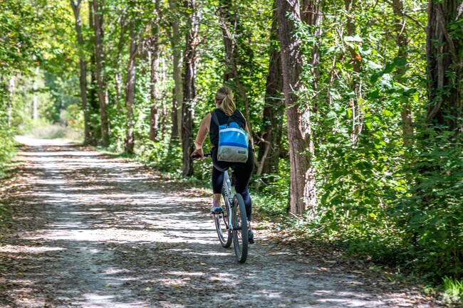 Take a bikeride along the MKT Trail in Old Southwest.