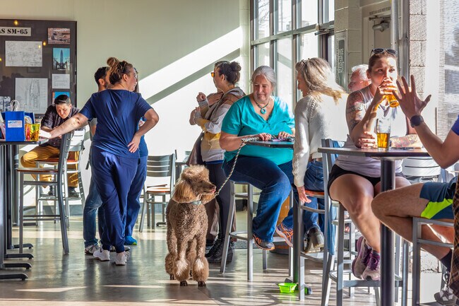 Bring your dog to the Yappy Hour event at Launch Pad Brewery in Tollgate Overlook.
