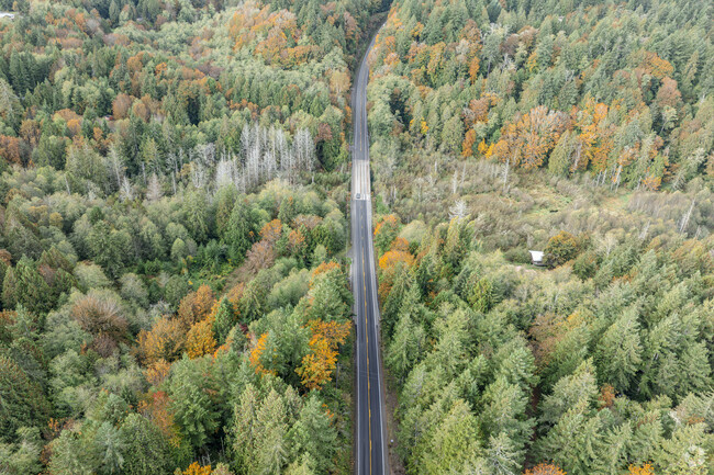 Olympic View Rd NW is surrounded by heavily wooded areas in Olympic View WA.