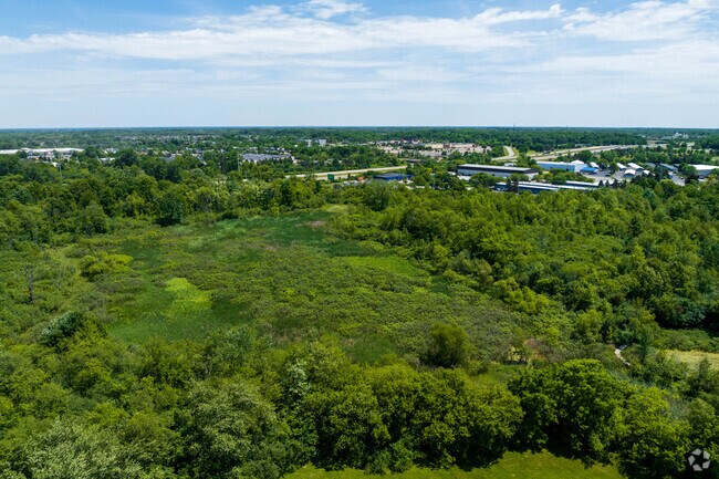 The Scarlett-Mitchell Nature Area offers wooded trails in Southeast Ann Arbor.