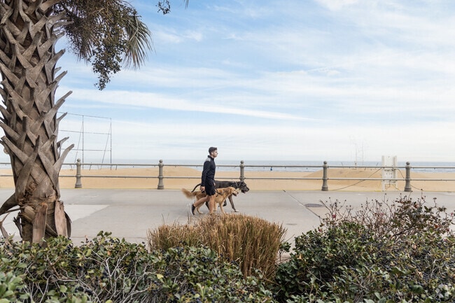 A man walks his dogs along the boardwalk near Neptune Park in Linkhorn Park.