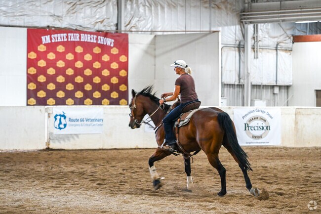 Equestrian events highlight the New Mexico State Fair at Expo New Mexico.