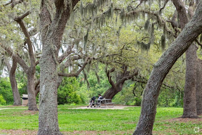 Cliff Stephens Park in Brigadoon of Clearwater has beautiful live oaks around its picnic areas.