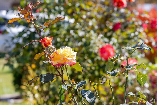 River Park offers natures beauty around every turn.