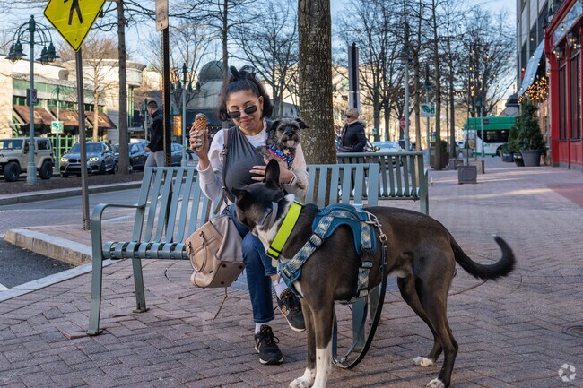Ice cream dates with the pups while strolling through Douglas Park.