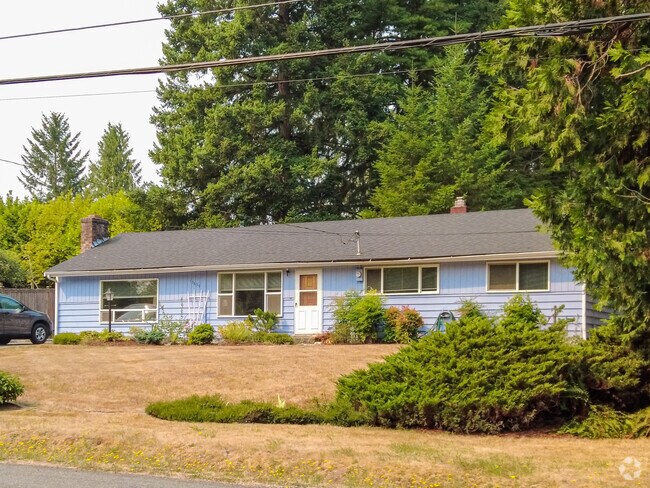 Gorgeous baby blue ramblers can be found in the East Renton Highlands.