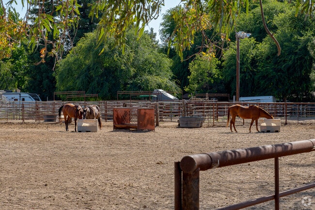 Rosedale is known for its larger-acre lots and equestrian properties.