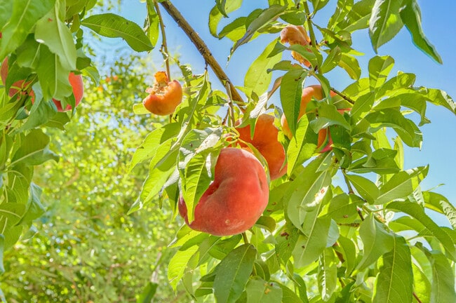 9784 Kodiak Island Ct unit 1 BD, Las Vegas, NV 89141 - photo 3